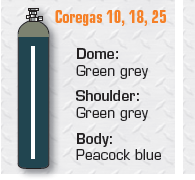 COREGAS 10    G    10.7M3 CLASS 2.2/UN195